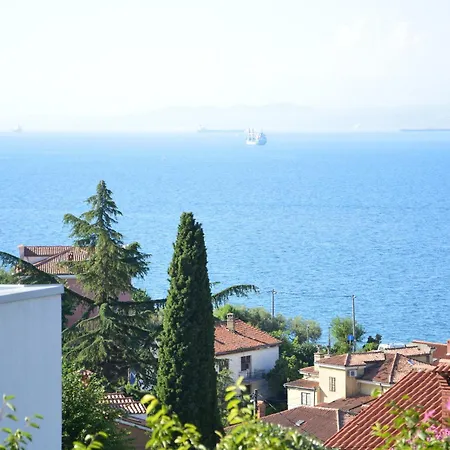 Art Adria * Koper