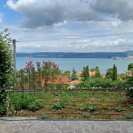 Art Adria Apartmán
